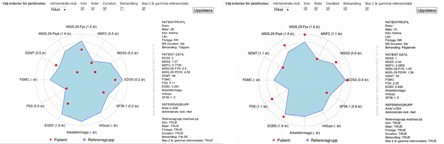 Funktionsklocka_landskap